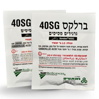 ברקלס