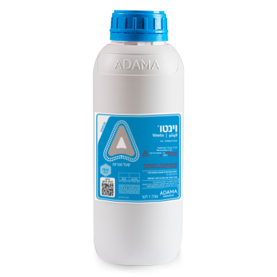 VINETO5L