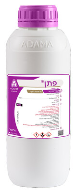 פתן
