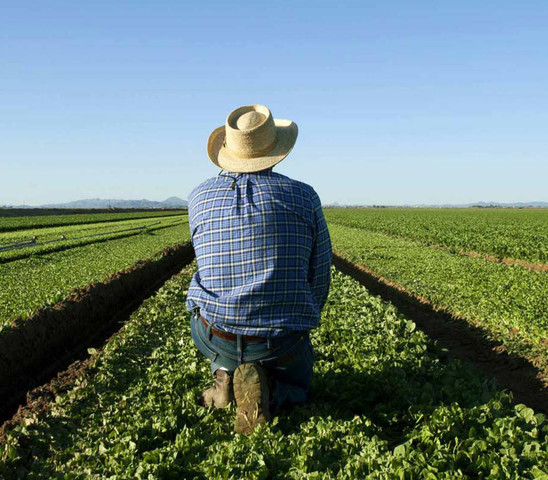 Farmer sitting in a field