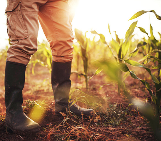 Farmer with boots ADAMA