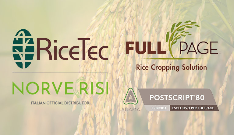 Rice Tec, Norve Risi, Full Page e Adama Postscript 80 insieme