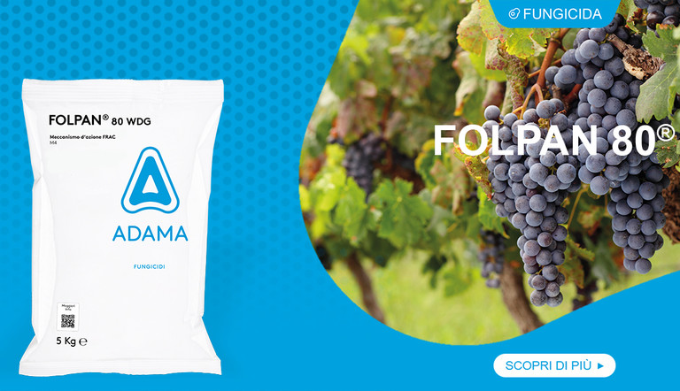 FOLPAN 80 WDG uva