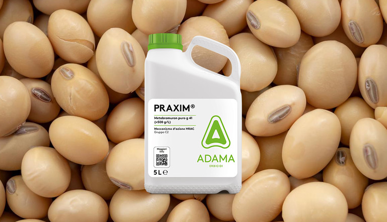 PRAXIM SOIA ADAMA