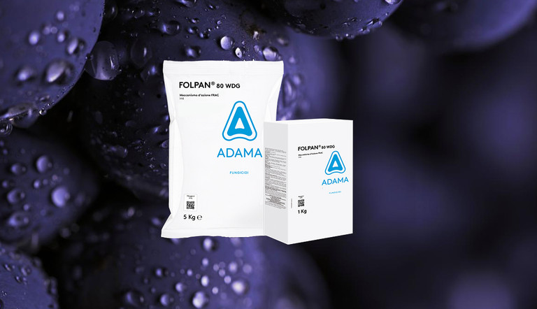 FOLPAN 80 ADAMA VITE UVA FUNGICIDA