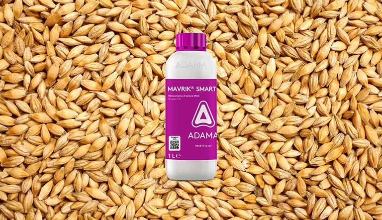 Mavrik-Smart cereali ADAMA