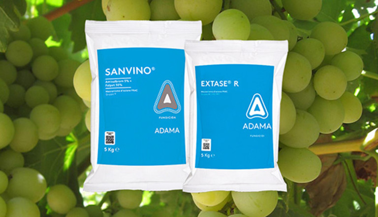 SANVINO EXTASER Adama Italia Vite