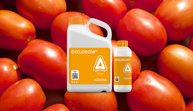 EXELGROW pomodoro ADAMA