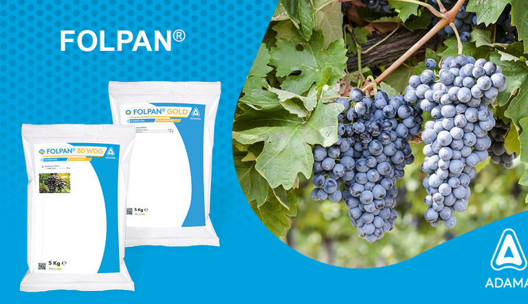 FOLPAN Adama Italia 5 kg uva vite