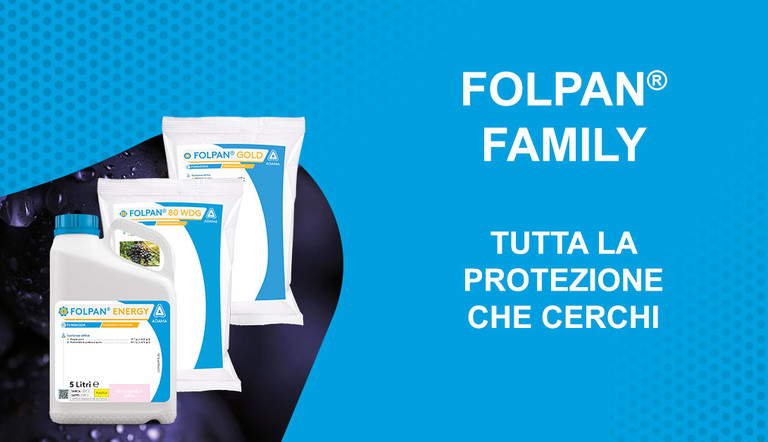 FOLPAN FAMILY vite