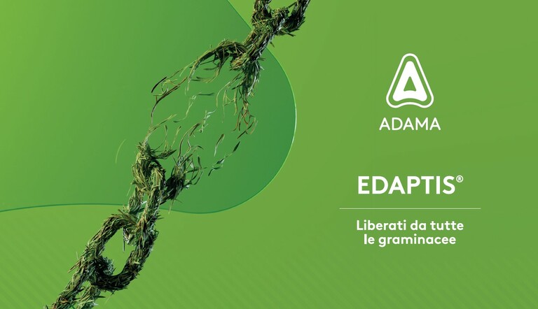 Edaptis