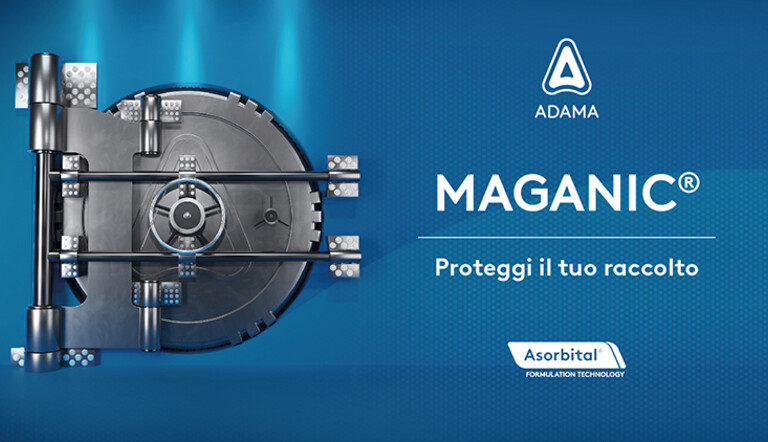 MAGANIC