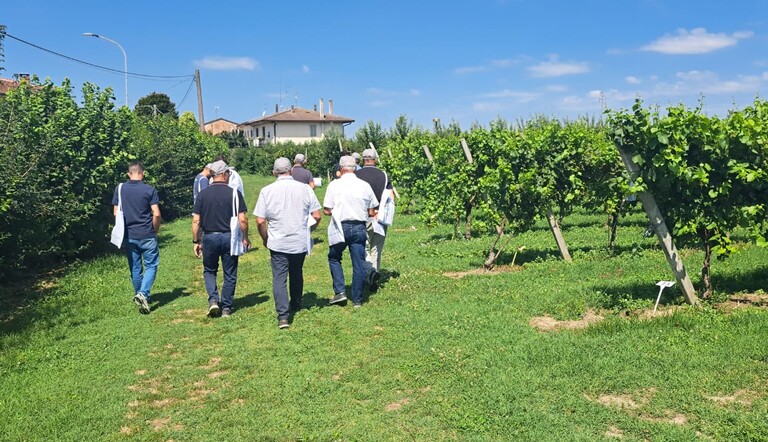Prova vite - 10 luglio