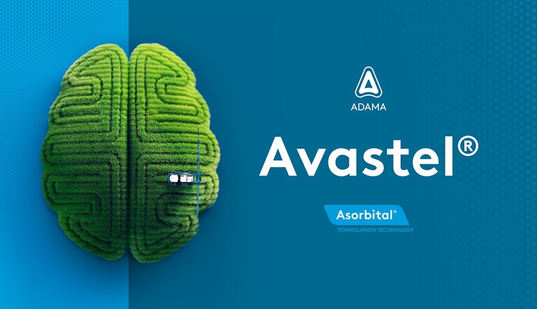 key visual - Avastel