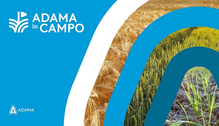 copertina adama in campo