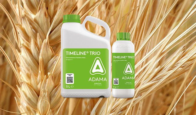 TIMELINE TRIO cereali