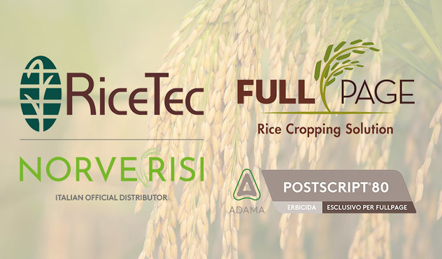 Rice Tec, Norve Risi, Full Page e Adama Postscript 80 insieme