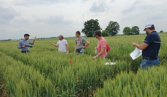 Prove cereali ad Ancona - 10 maggio 2024