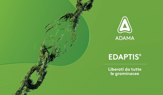 Edaptis