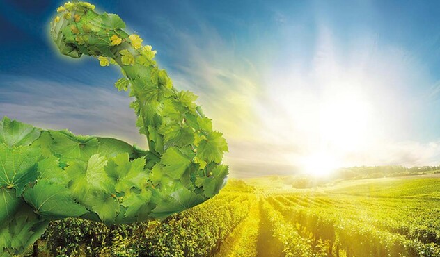 Folpan Energy