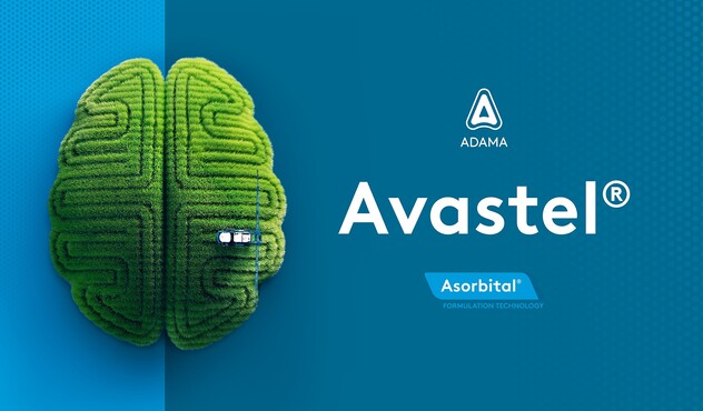 key visual - Avastel