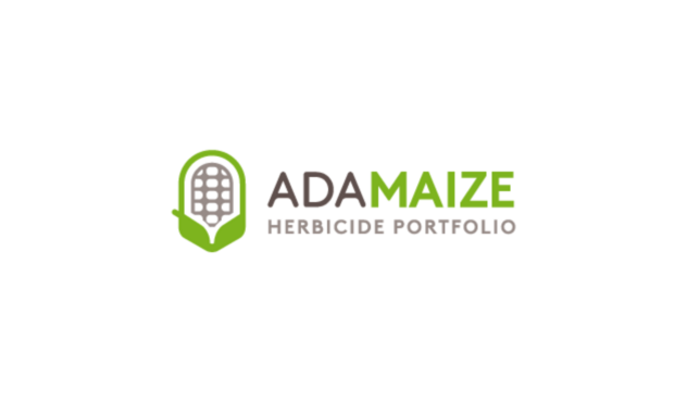 ADAMAIZE LOGO