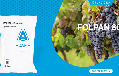 FOLPAN 80 WDG uva