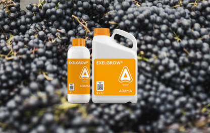 EXELGROW GRAPE ADAMA