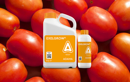 EXELGROW pomodoro ADAMA