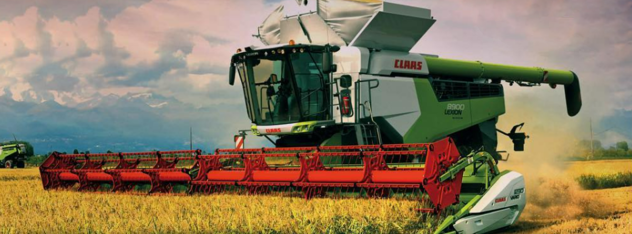 Fiera in campo Vercelli 2023