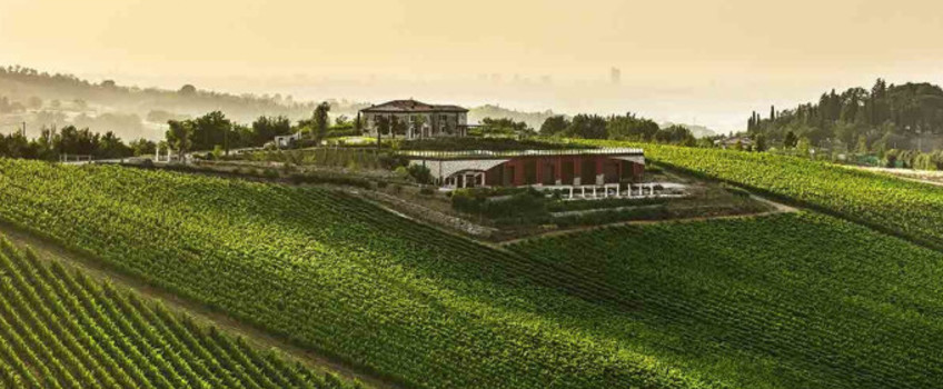 Enovitis 2024
