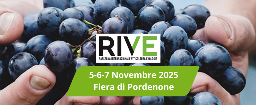 RIVE 2025