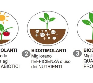 Biostimolanti Adama