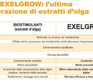 Estratti d'alga ADAMA
