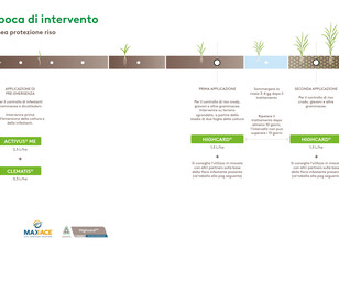 Epoca di Intervento - Linea Protezione Riso