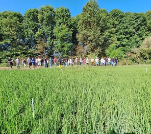 Pavia - 10 luglio