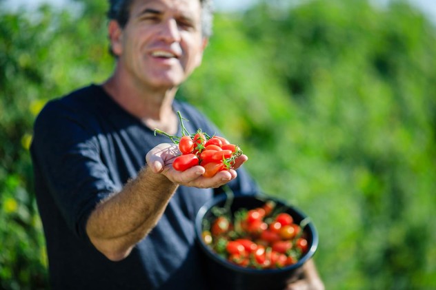 Agricoltore italiano pomodori Adama Italia