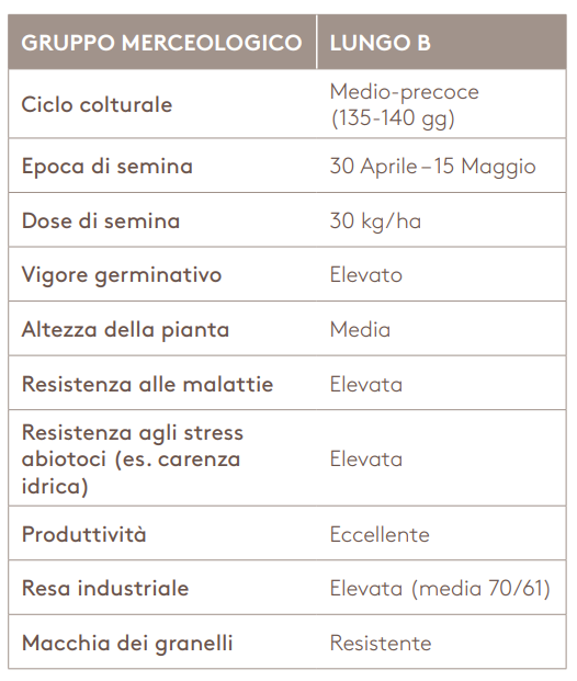 ECCO 975 FP Lungo B