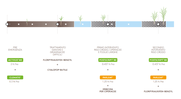Epoca di intervento Ricetech FullPage