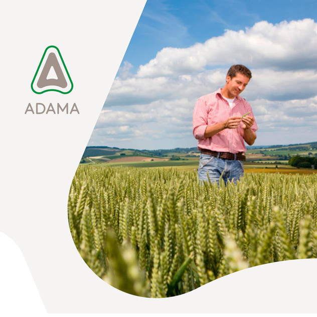 Linea Protezione Cereali Adama 2023