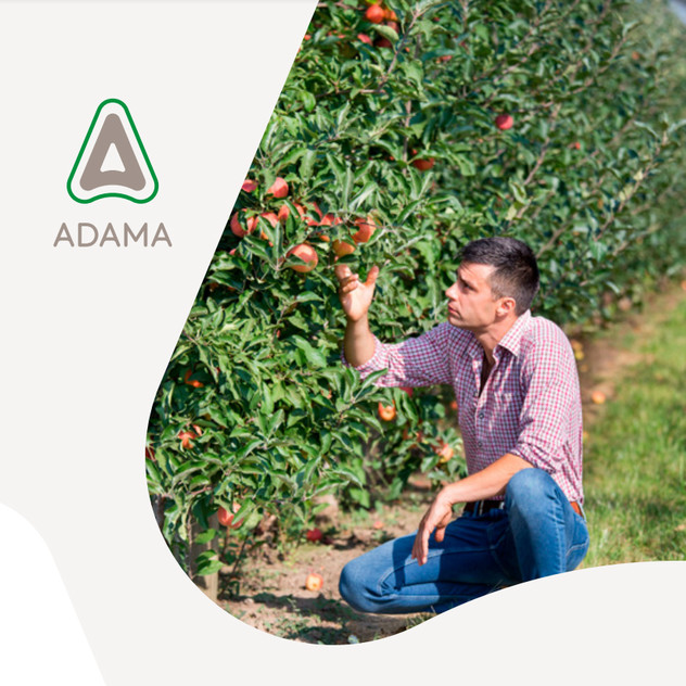 Linea Protezione Pomacee Adama 2023