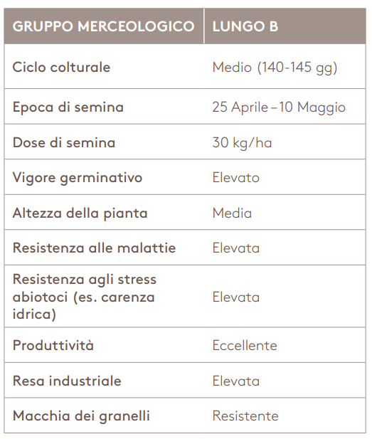 Gruppo Merceologico ECCO 985 FP 