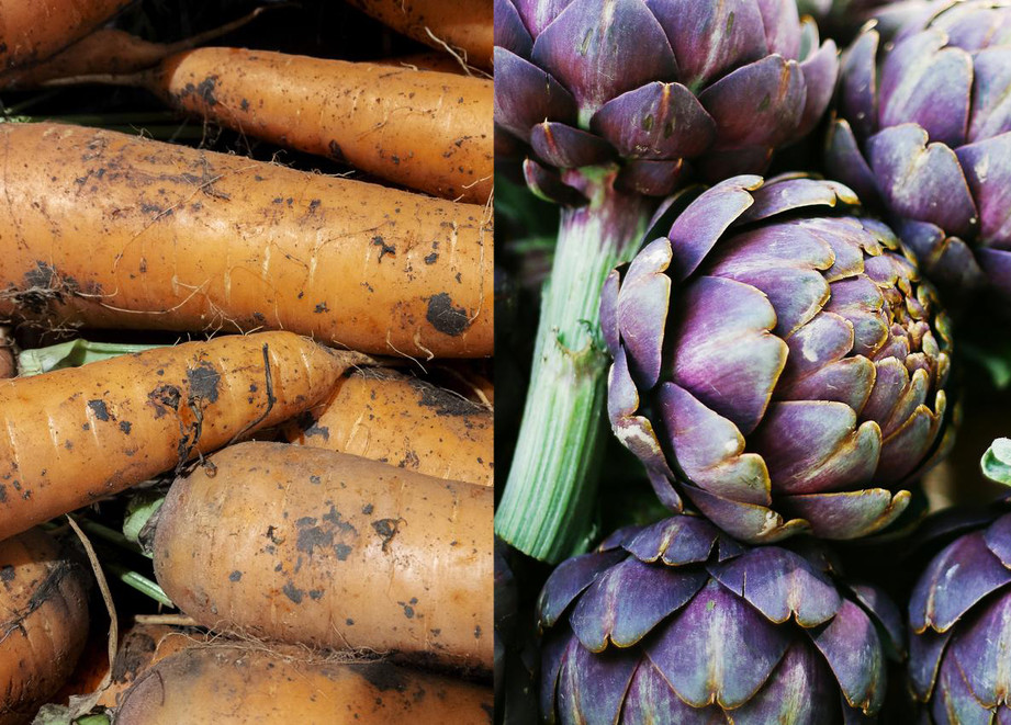 Estensione d'uso FOXPRO su carota e carciofo