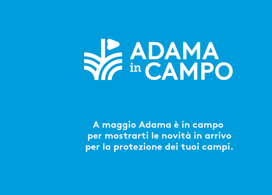Slider ADAMA in CAMPO.jpg
