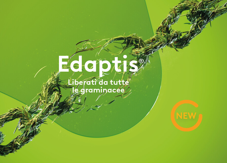 Slider Edaptis NEW
