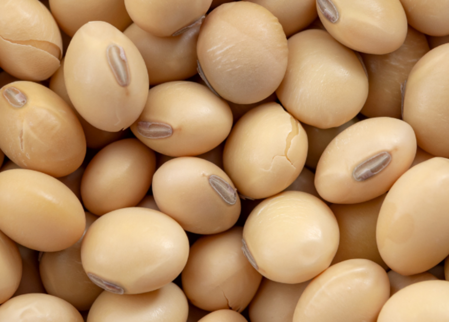 Soybeans