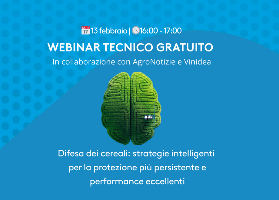 WEBINAR