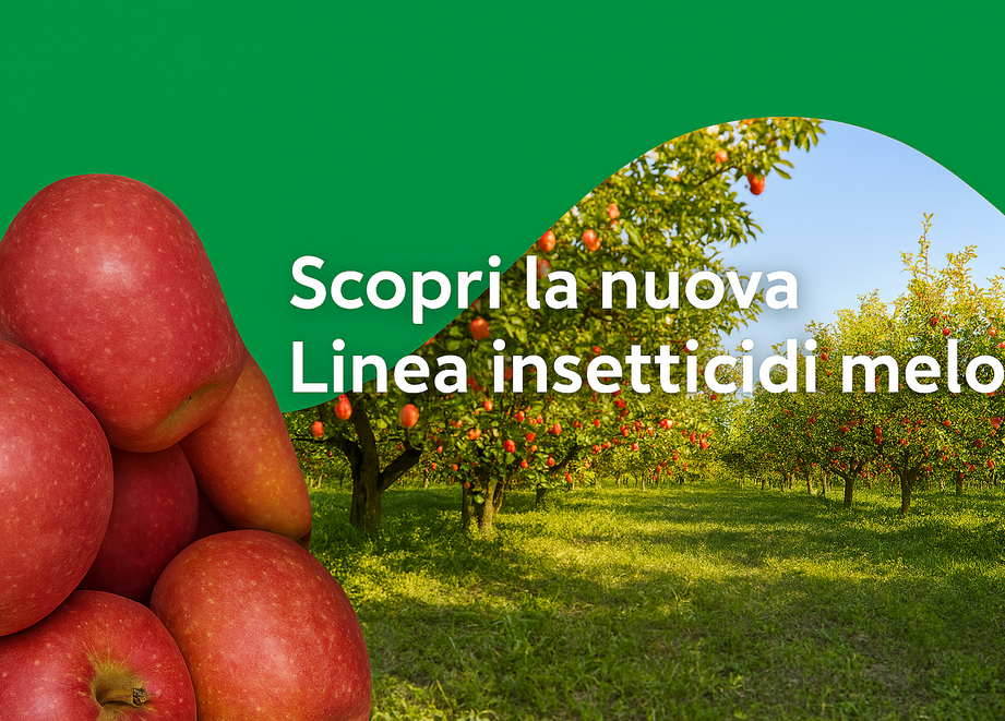 Header Insetticidi Melo