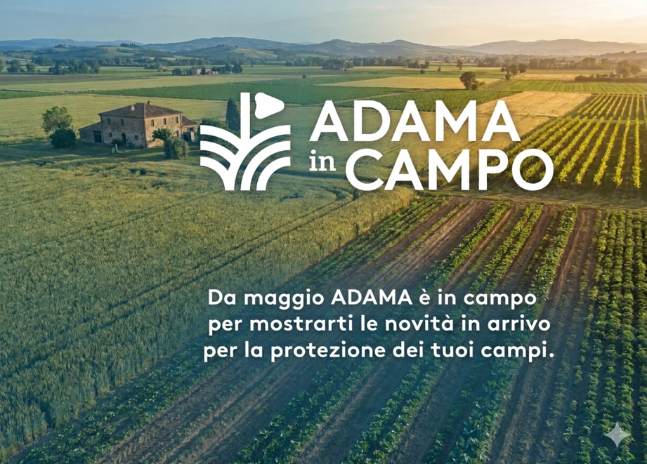 ADAMA in CAMPO