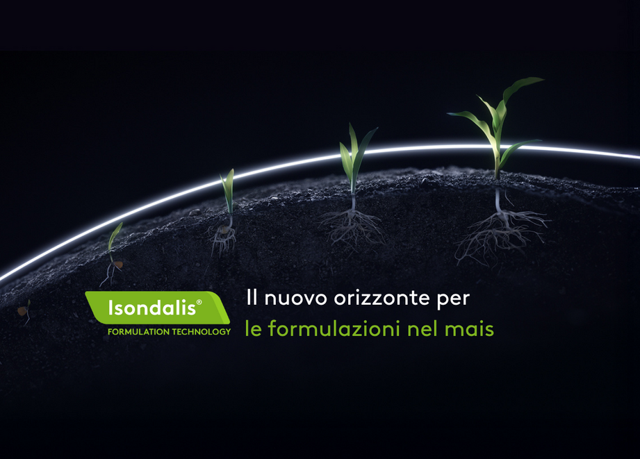 isondalis